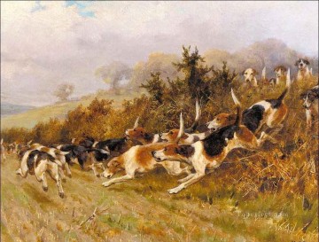  hunting Canvas - hunting dogs